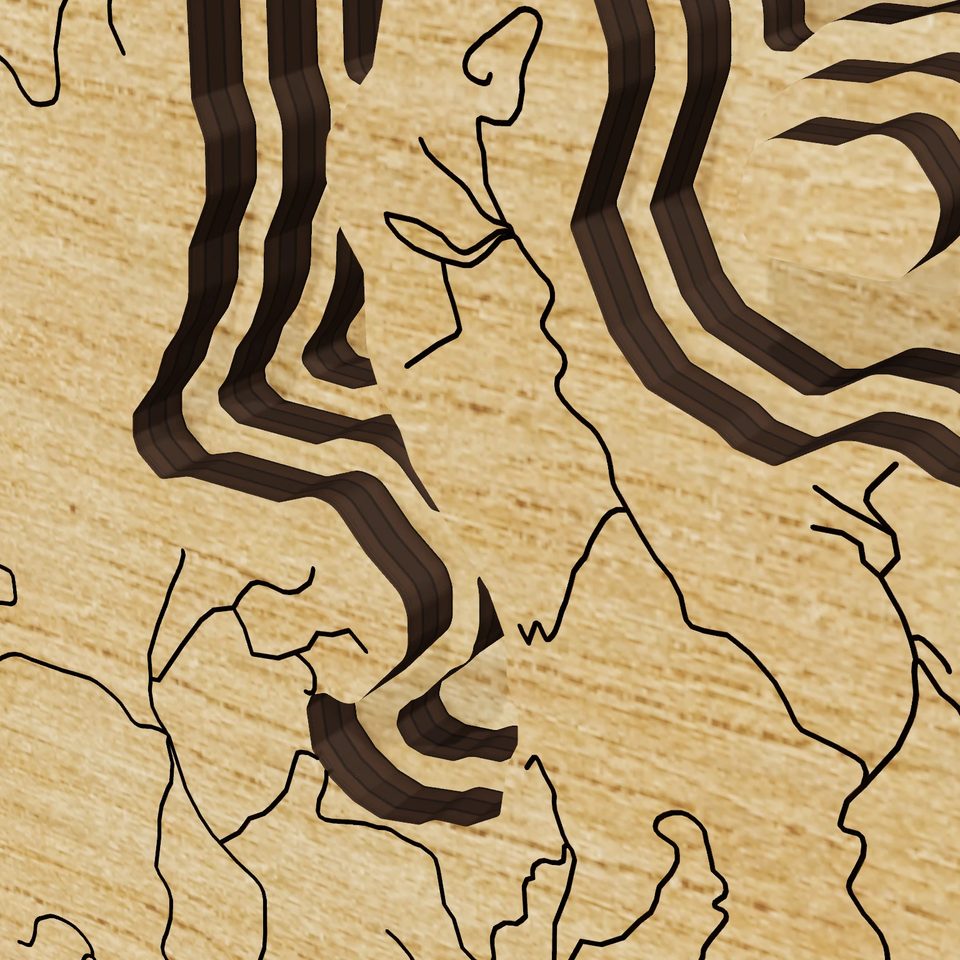 Lake Glenville 3D wood map, detail view