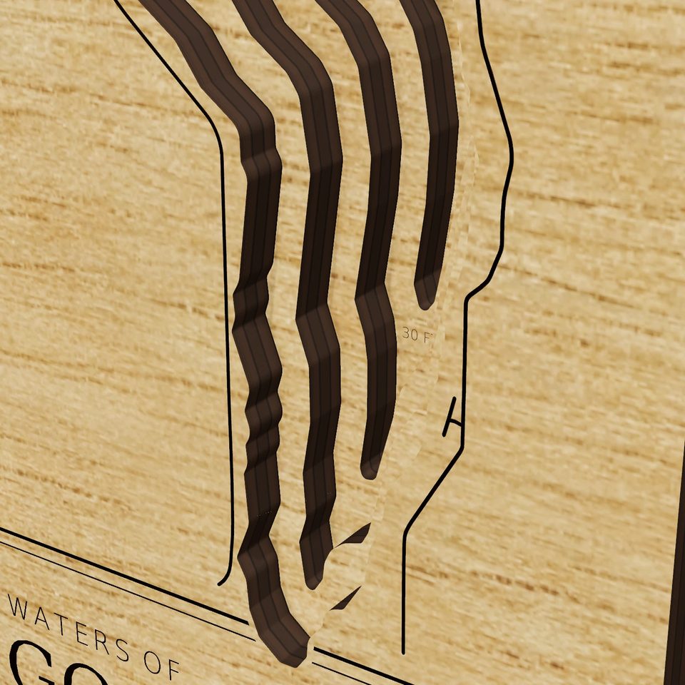 Lake Gogebic 3D wood map, detail view