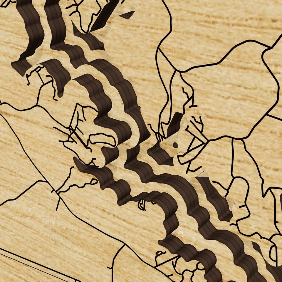 Lake Greenwood 3D wood map, detail view