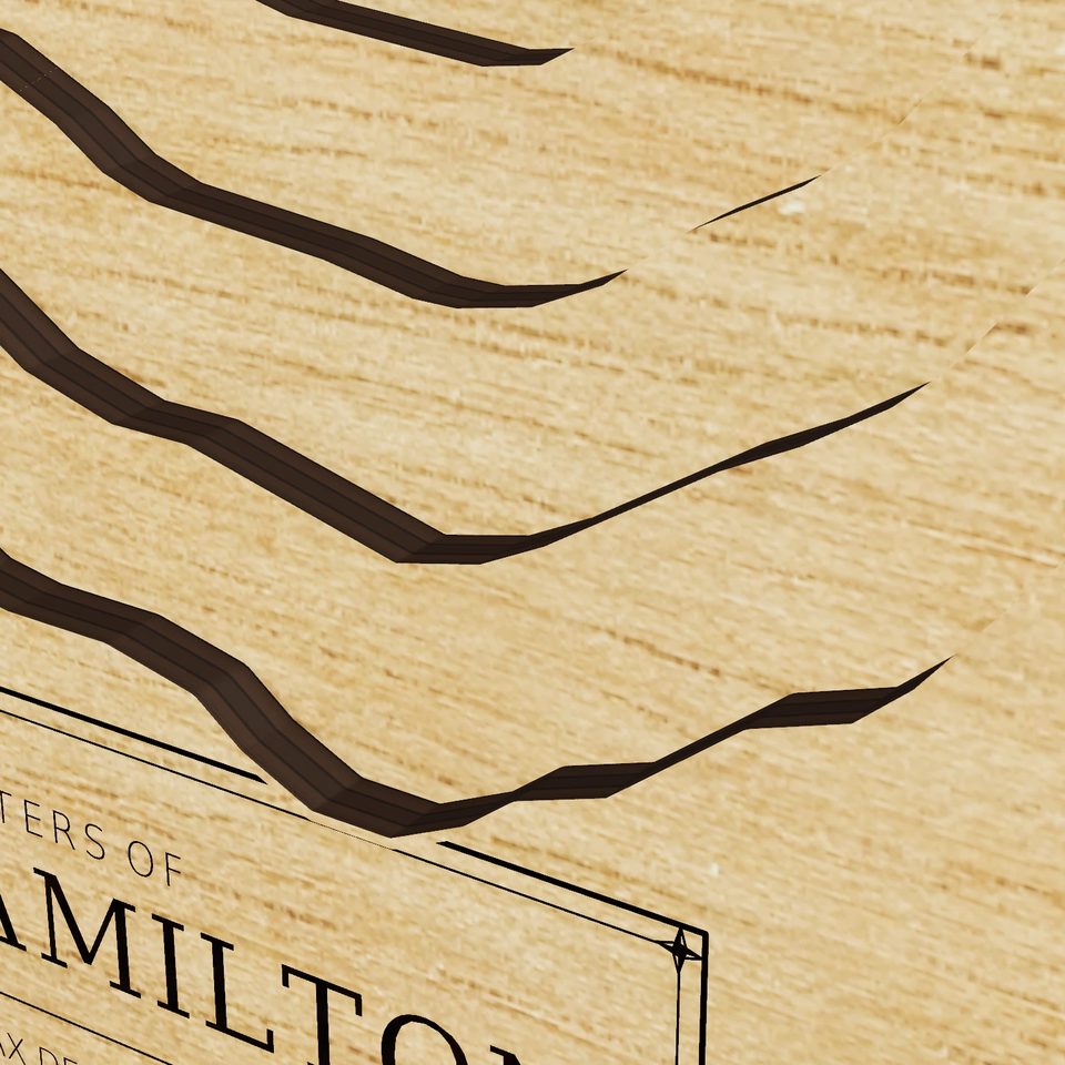 Lake Hamilton 3D wood map, detail view