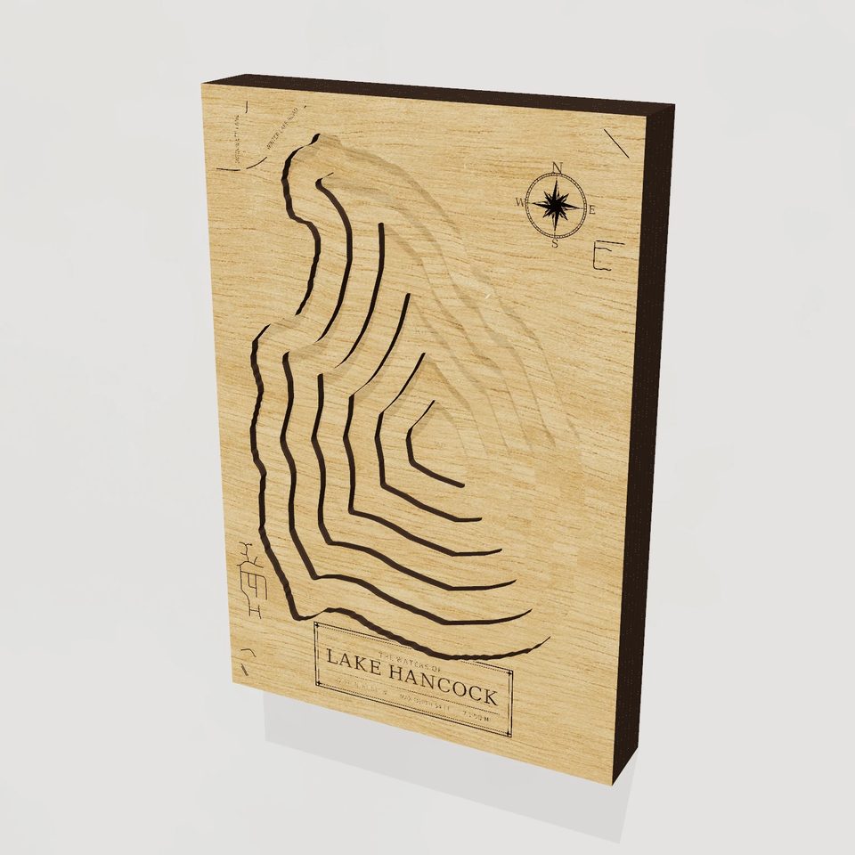 Lake Hancock 3D wood map, hero view
