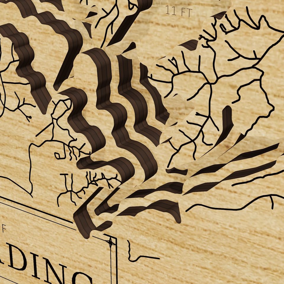 Lake Harding 3D wood map, detail view