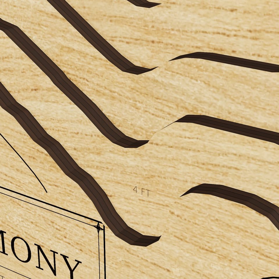 Lake Harmony 3D wood map, detail view