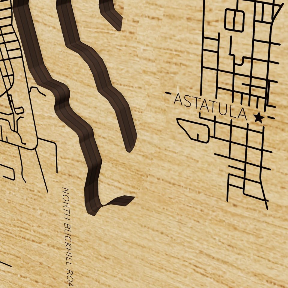 Lake Harris 3D wood map, detail view