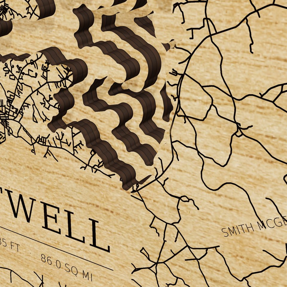 Lake Hartwell 3D wood map, detail view
