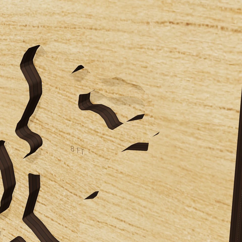 Lake Hatchineha 3D wood map, detail view