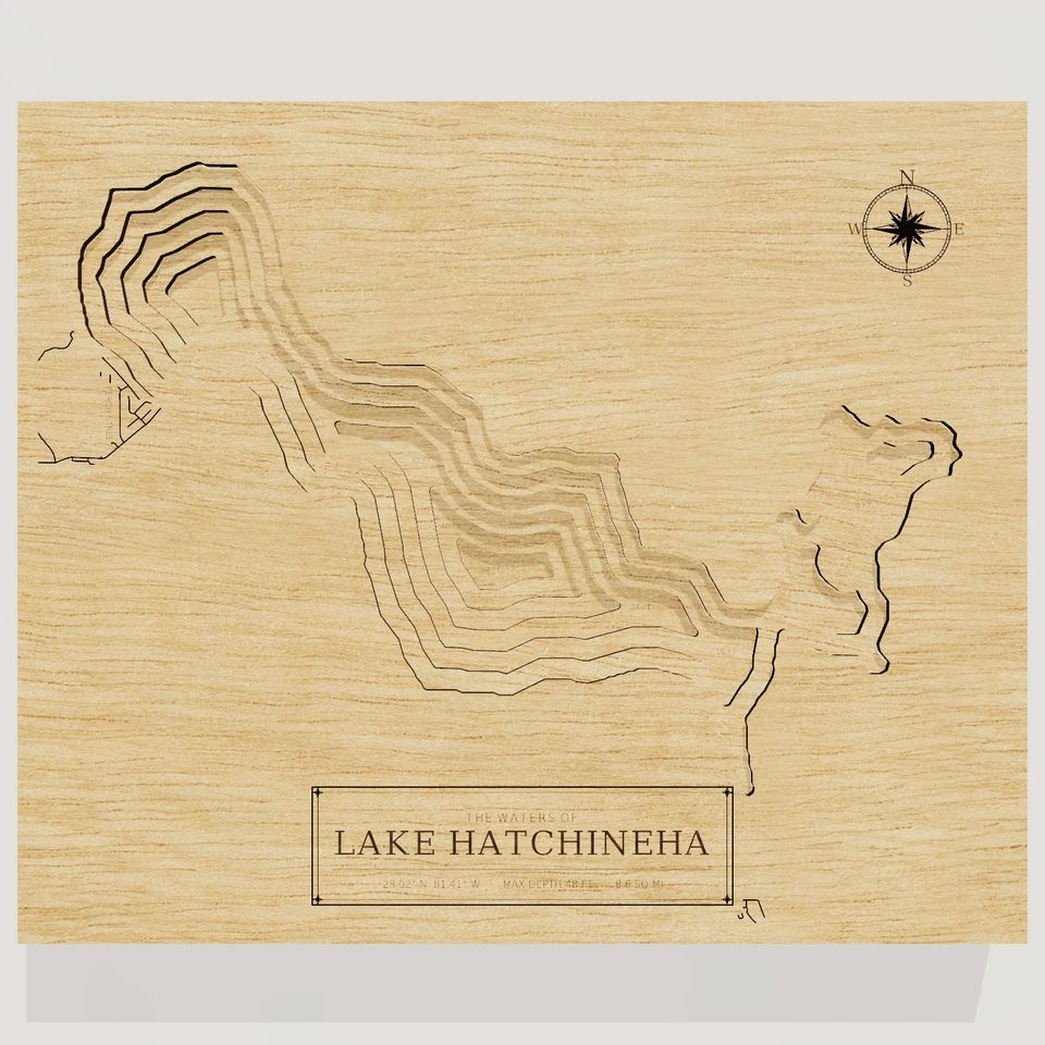 Lake Hatchineha 3D wood map, front view