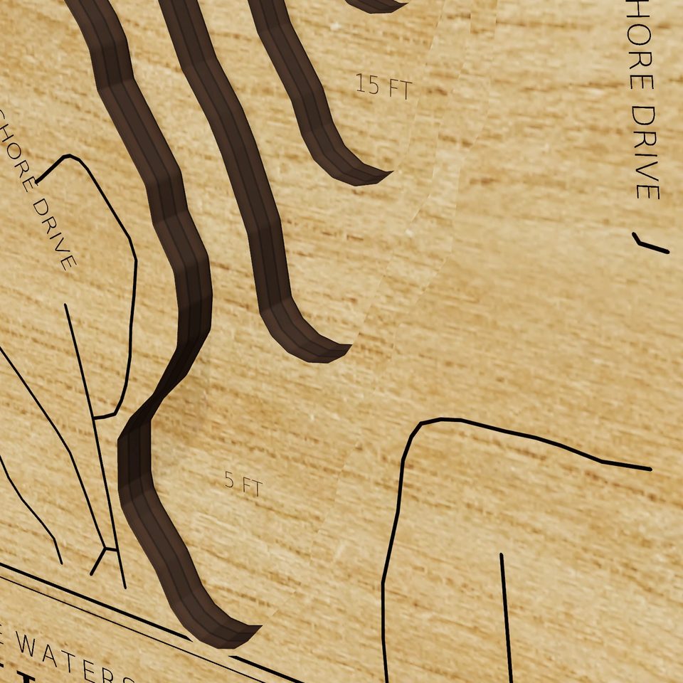 Lake Hayward 3D wood map, detail view