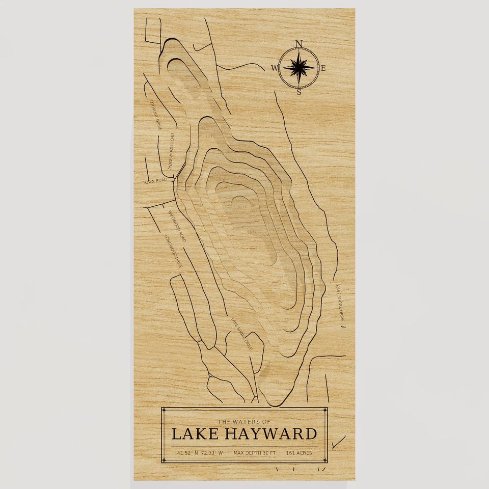 Lake Hayward 3D wood map, front view