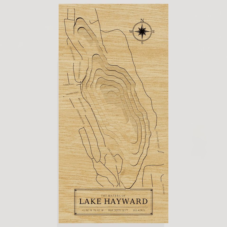 Lake Hayward 3D wood map, front view