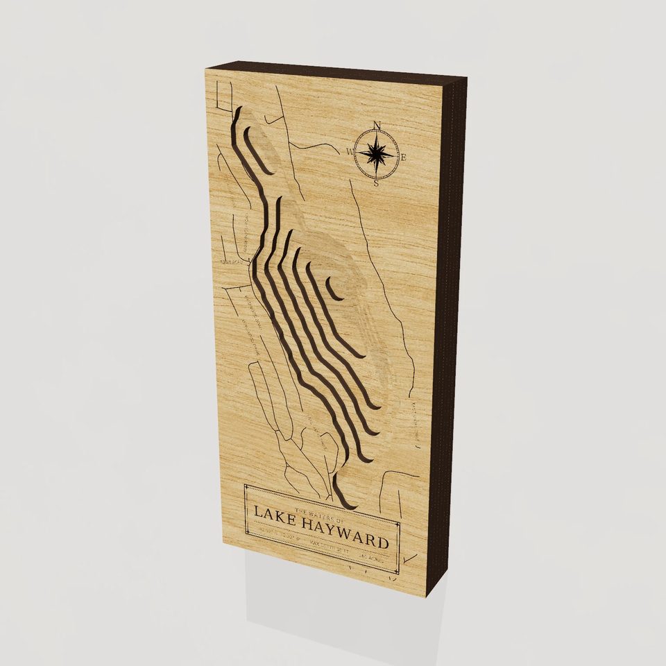 Lake Hayward 3D wood map, hero view
