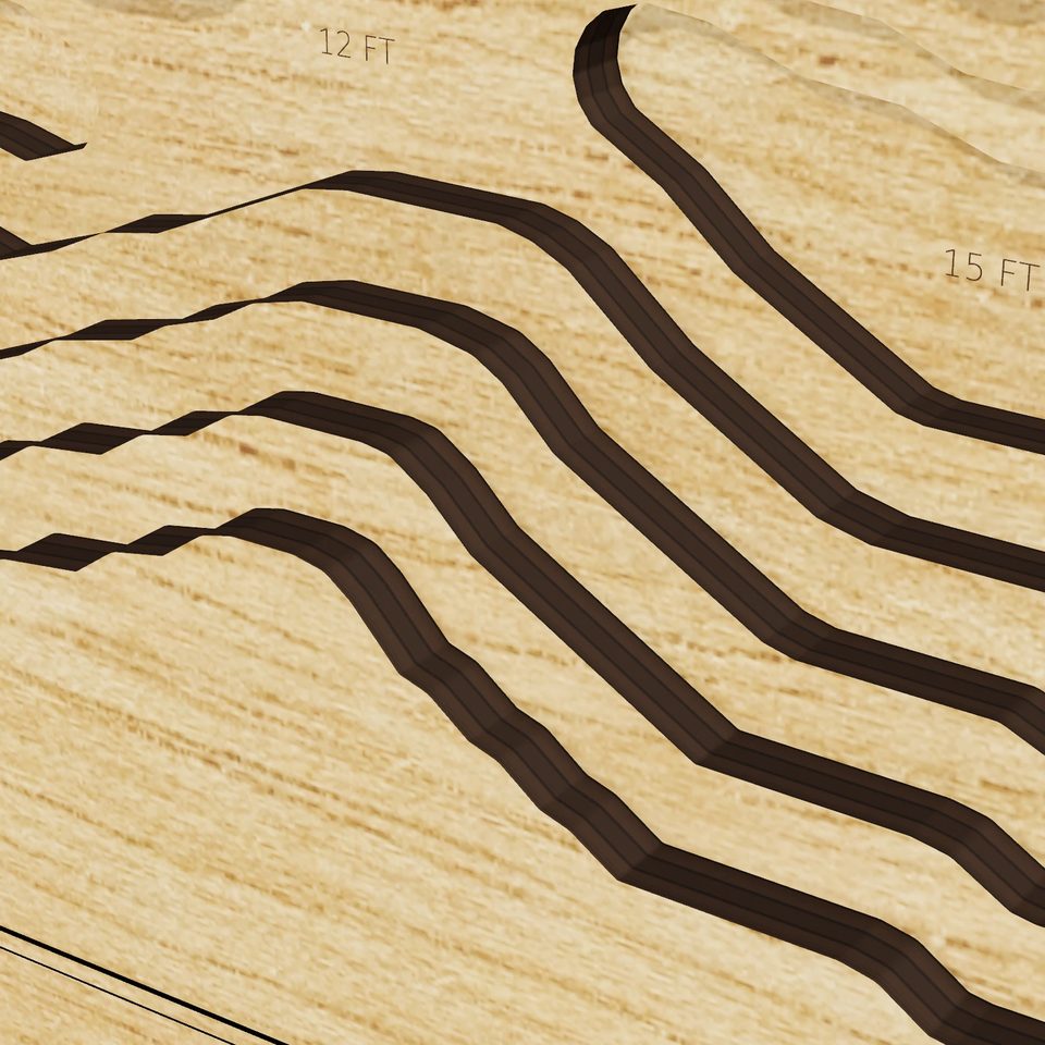 Lake Hemet 3D wood map, detail view