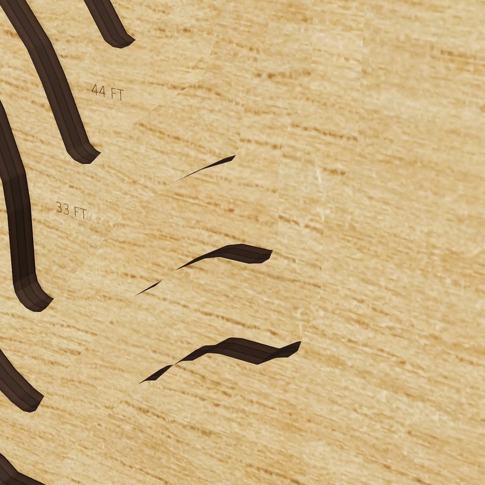 Lake Henshaw 3D wood map, detail view