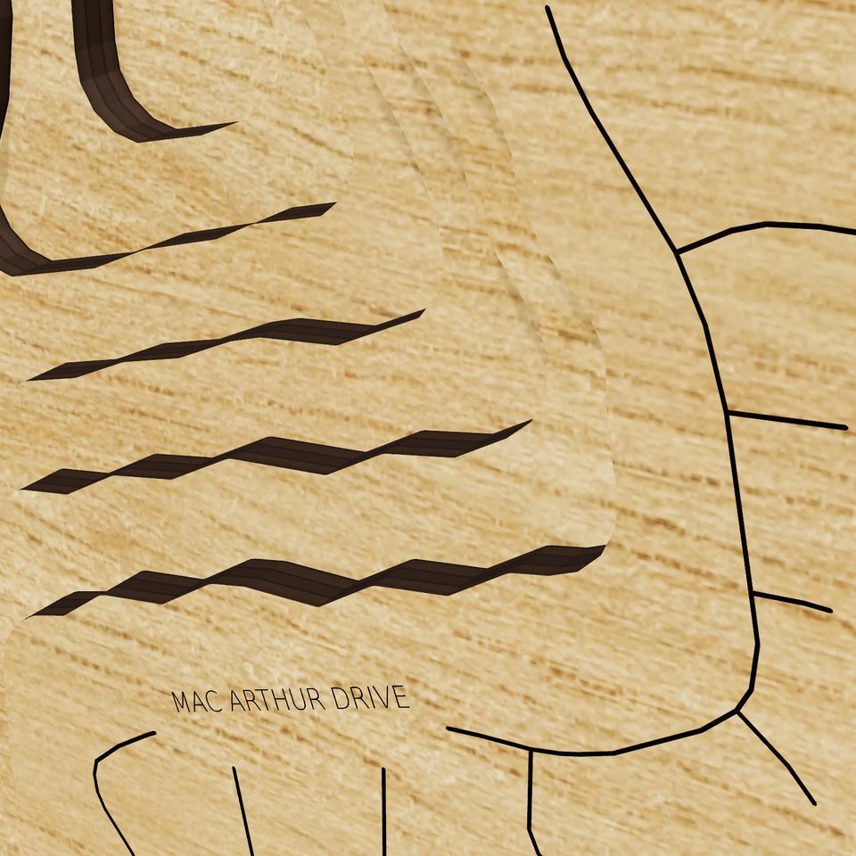 Lake Holden 3D wood map, detail view