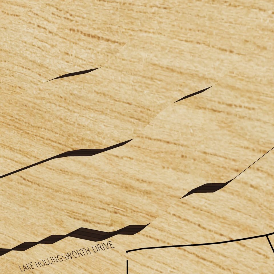 Lake Hollingsworth 3D wood map, detail view