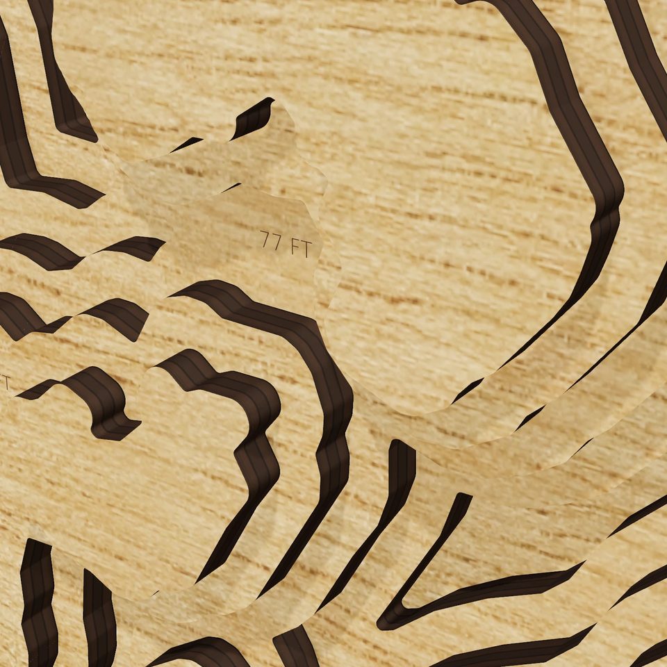 Lake Istokpoga 3D wood map, detail view