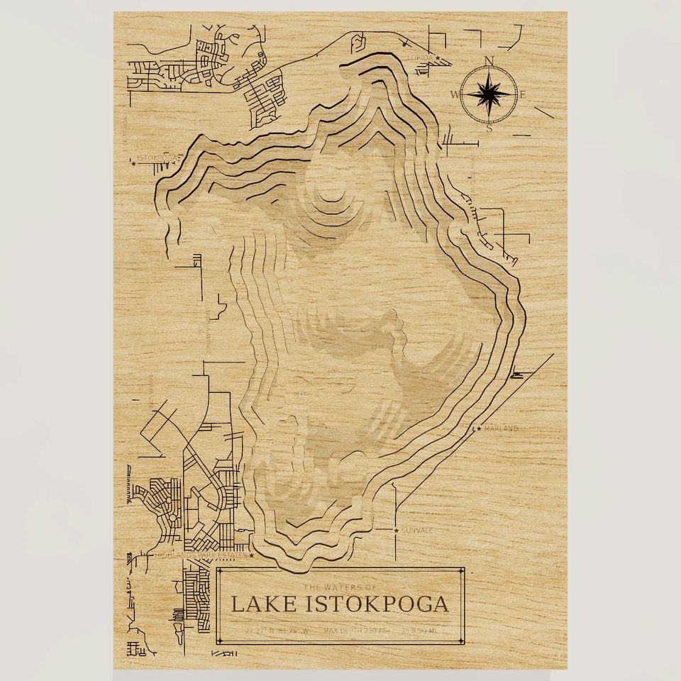 Lake Istokpoga 3D wood map, front view