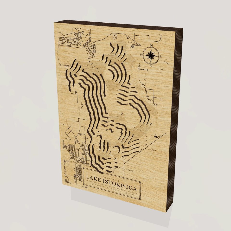 Lake Istokpoga 3D wood map, hero view