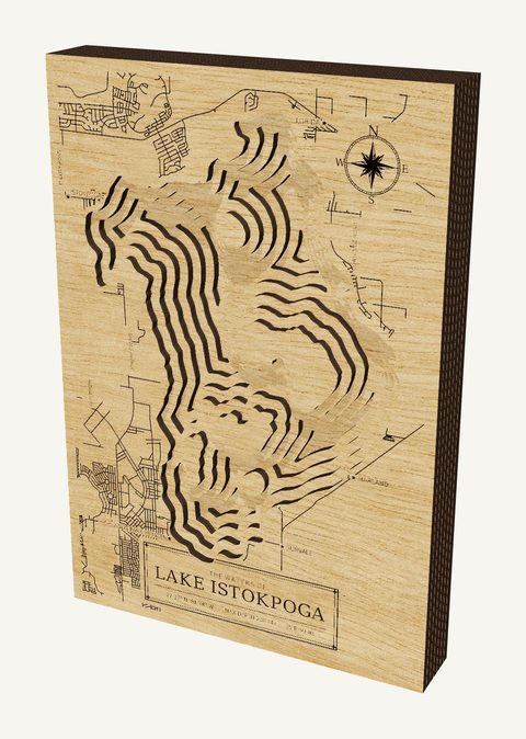Lake Istokpoga wood map