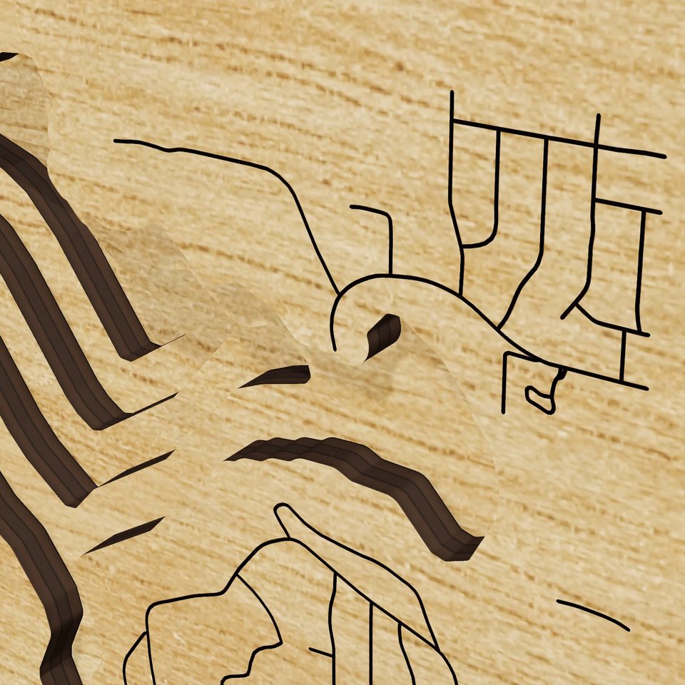 Lake Jackson 3D wood map, detail view