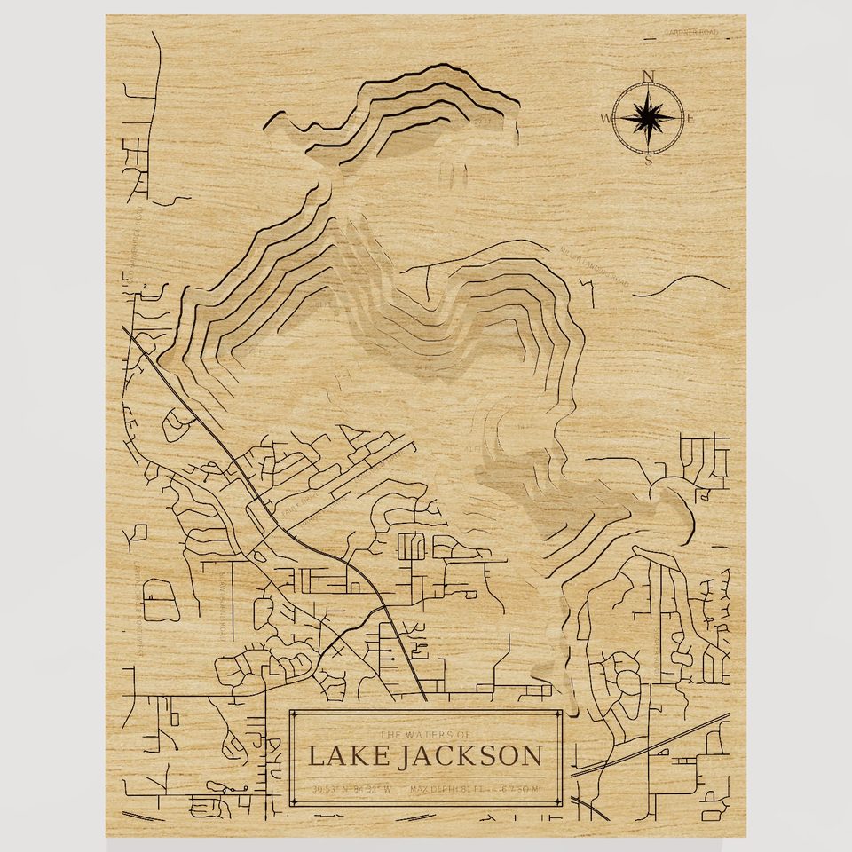 Lake Jackson 3D wood map, front view