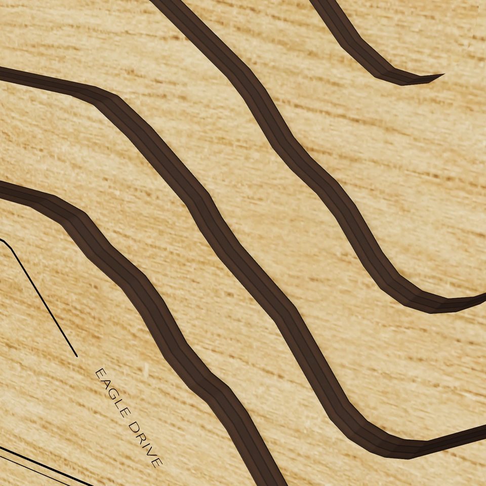 Lake Johanna 3D wood map, detail view