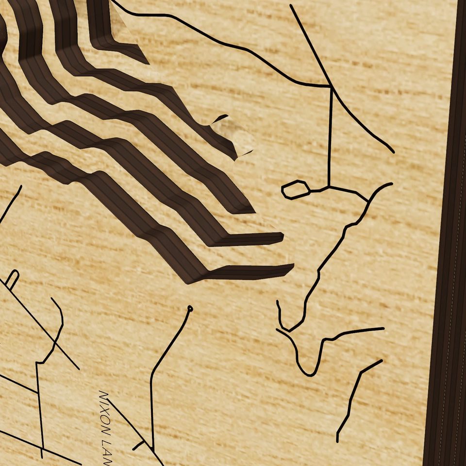 Lake Jordan 3D wood map, detail view