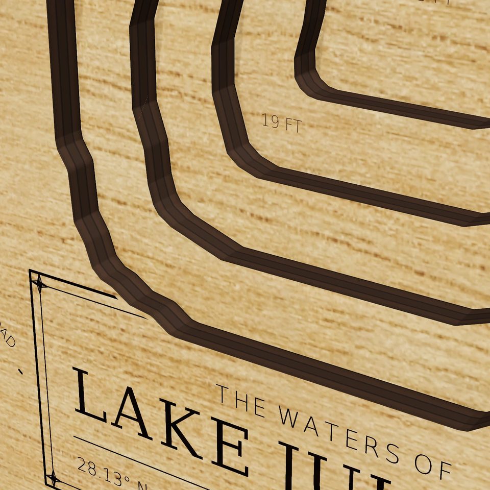 Lake Juliana 3D wood map, detail view