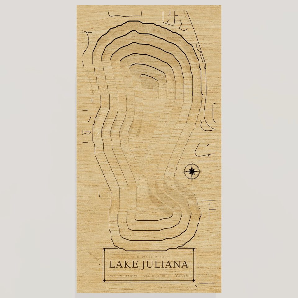 Lake Juliana 3D wood map, front view