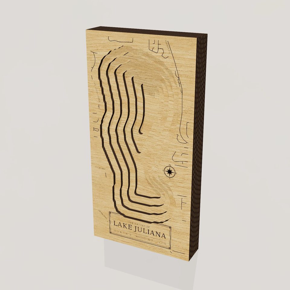 Lake Juliana 3D wood map, hero view
