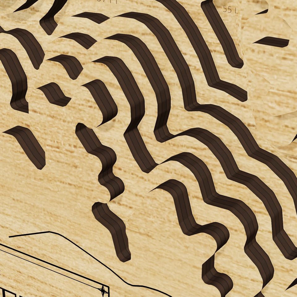 Lake Juliette 3D wood map, detail view