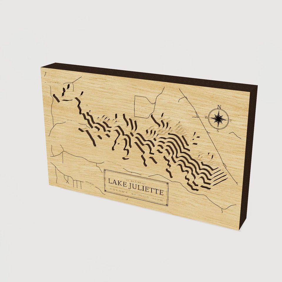 Lake Juliette 3D wood map, hero view