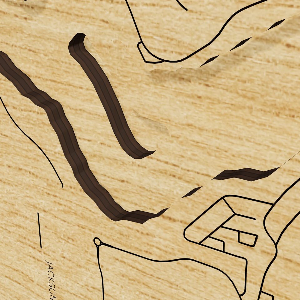 Lake June in Winter 3D wood map, detail view