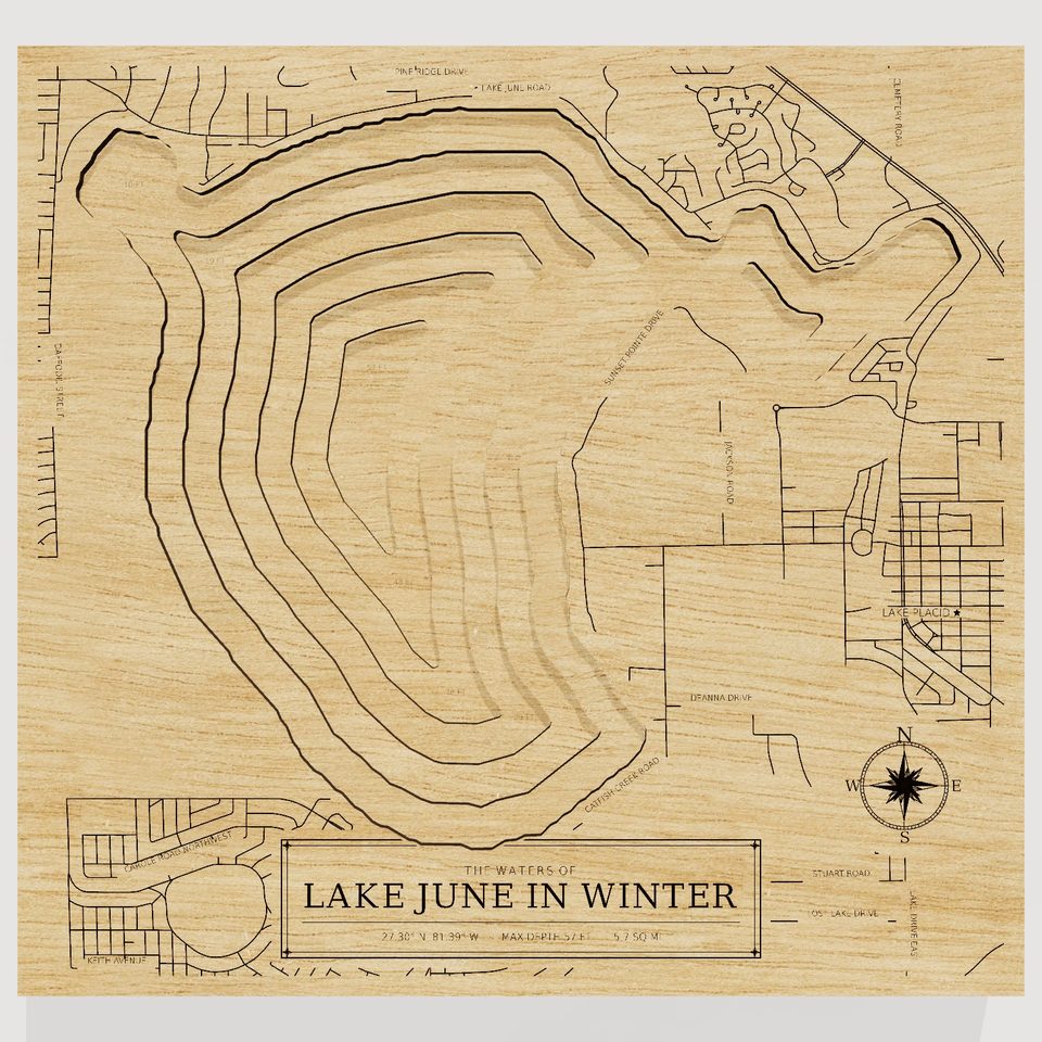 Lake June in Winter 3D wood map, front view
