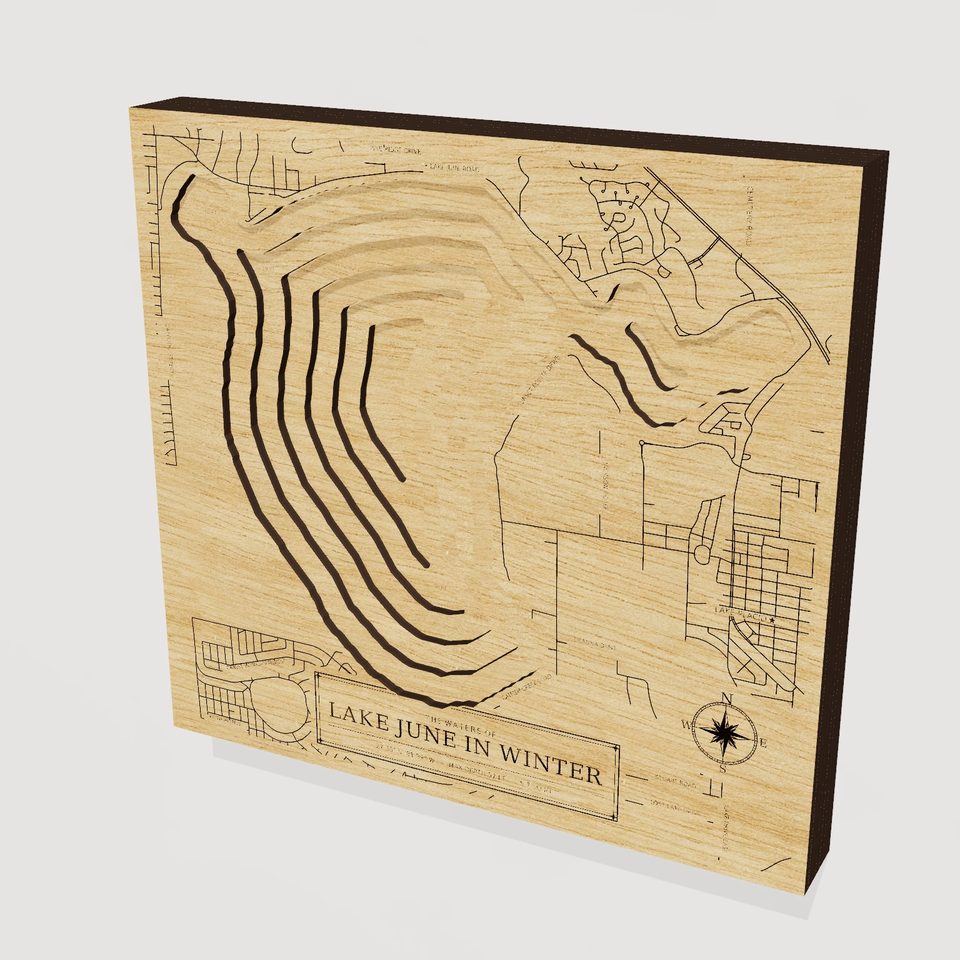 Lake June in Winter 3D wood map, hero view