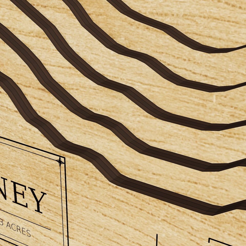 Lake Killarney 3D wood map, detail view