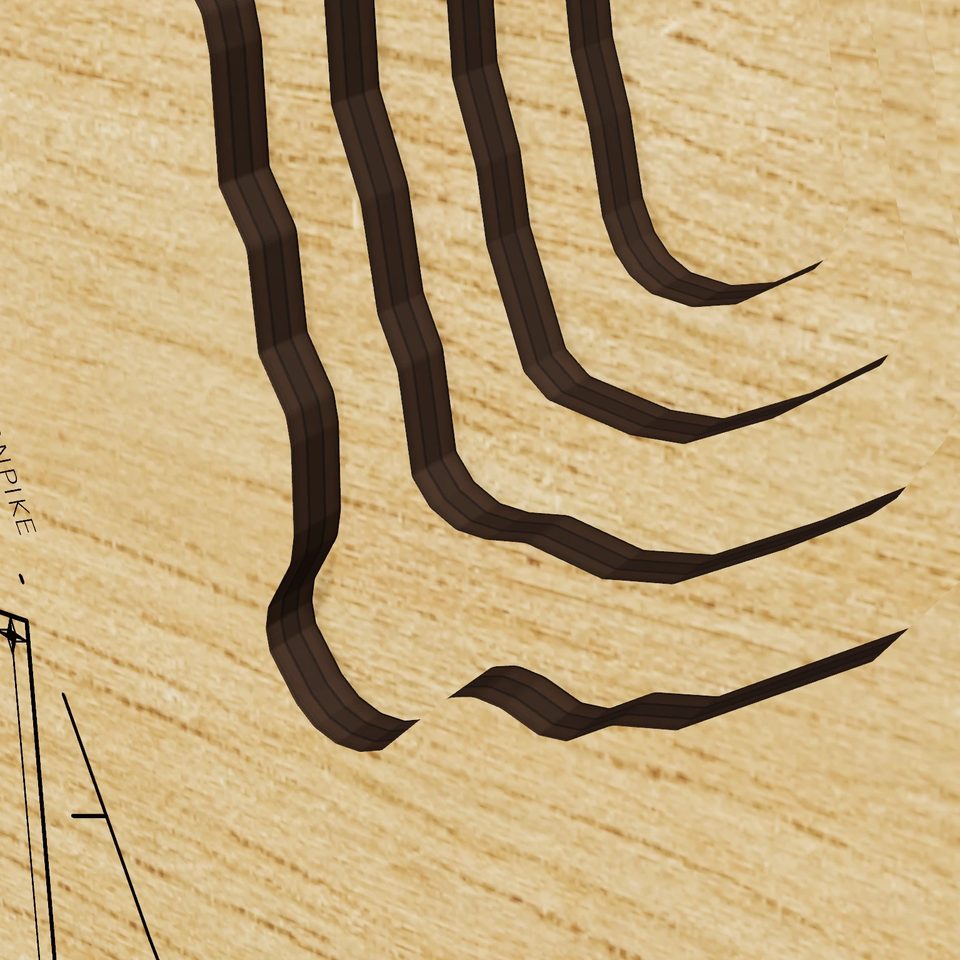 Lake Konomoc 3D wood map, detail view