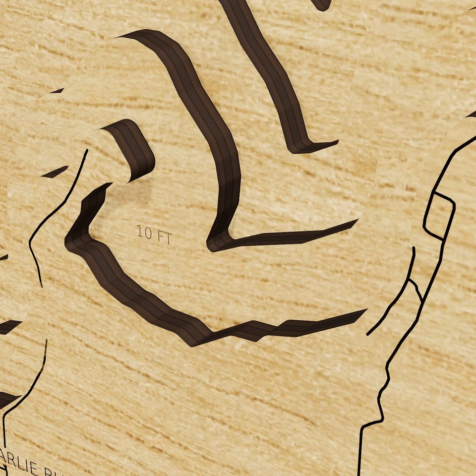 Lake Koshkonong 3D wood map, detail view