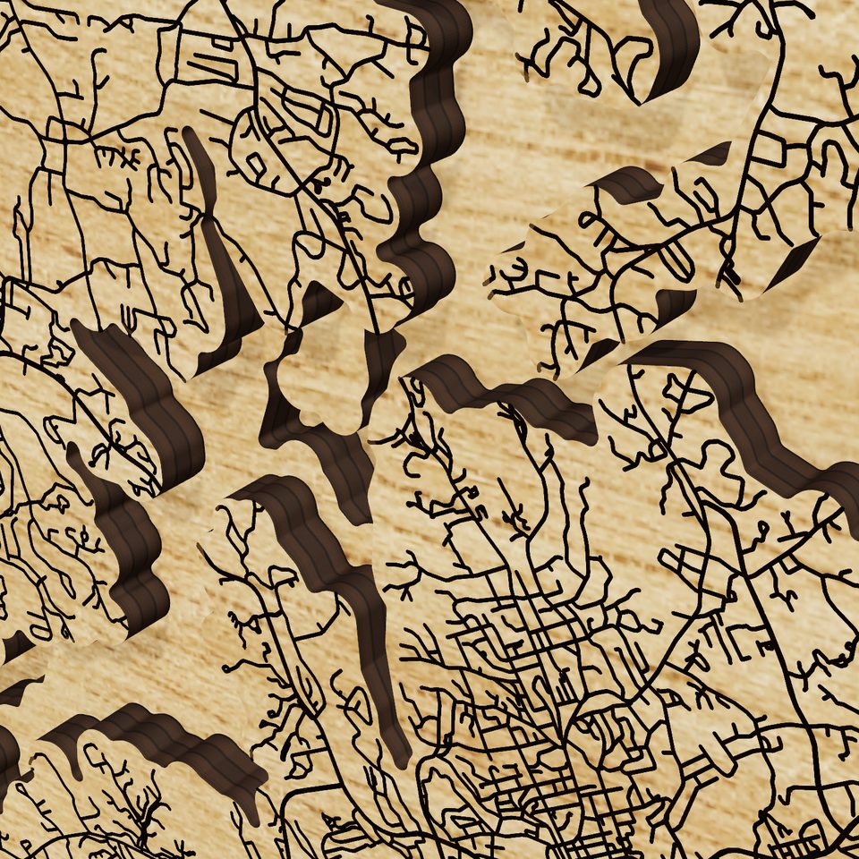 Lake Lanier 3D wood map, detail view