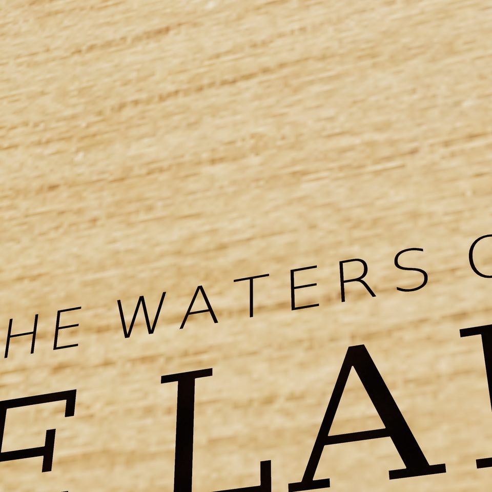 Lake Lanier 3D wood map, title view
