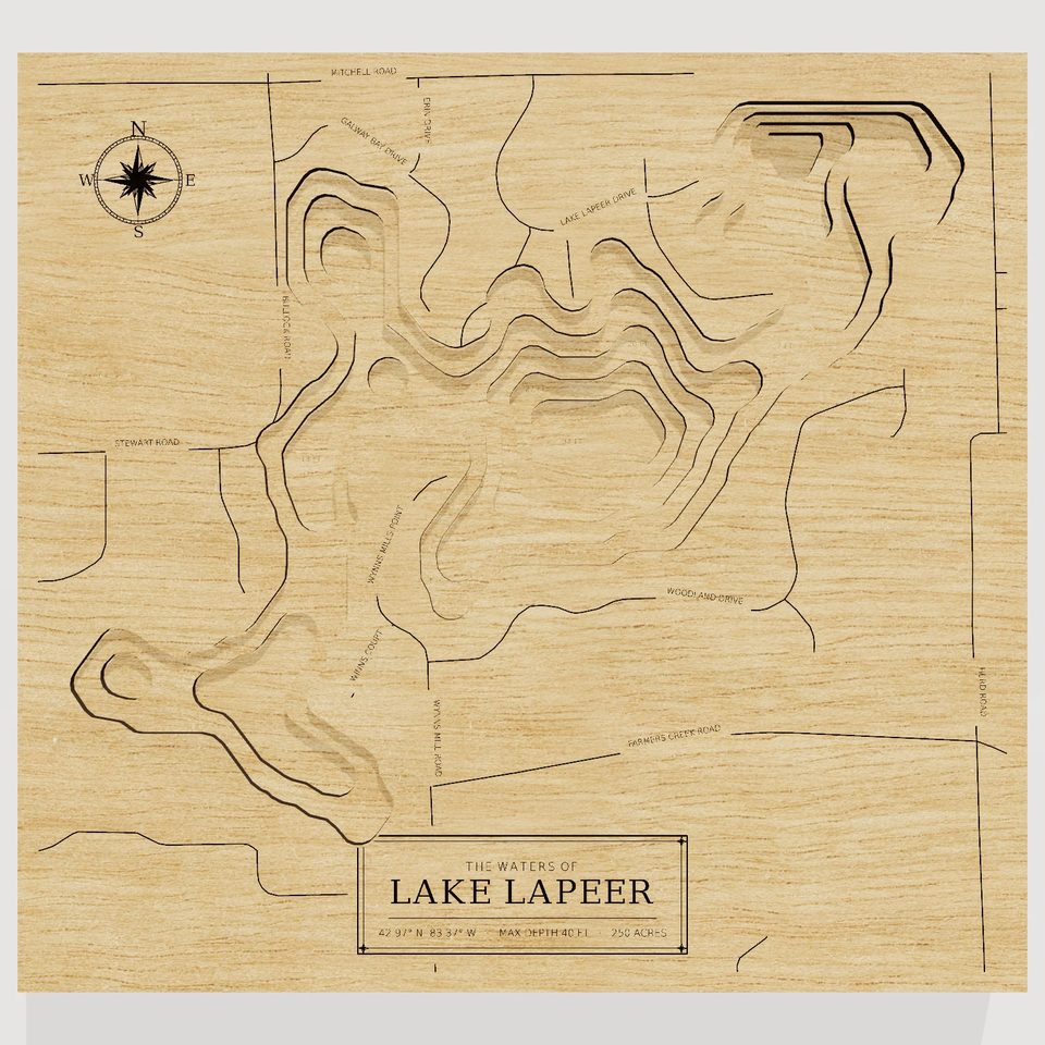 Lake Lapeer 3D wood map, front view