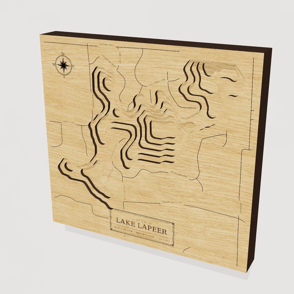Lake Lapeer 3D wood map, hero view