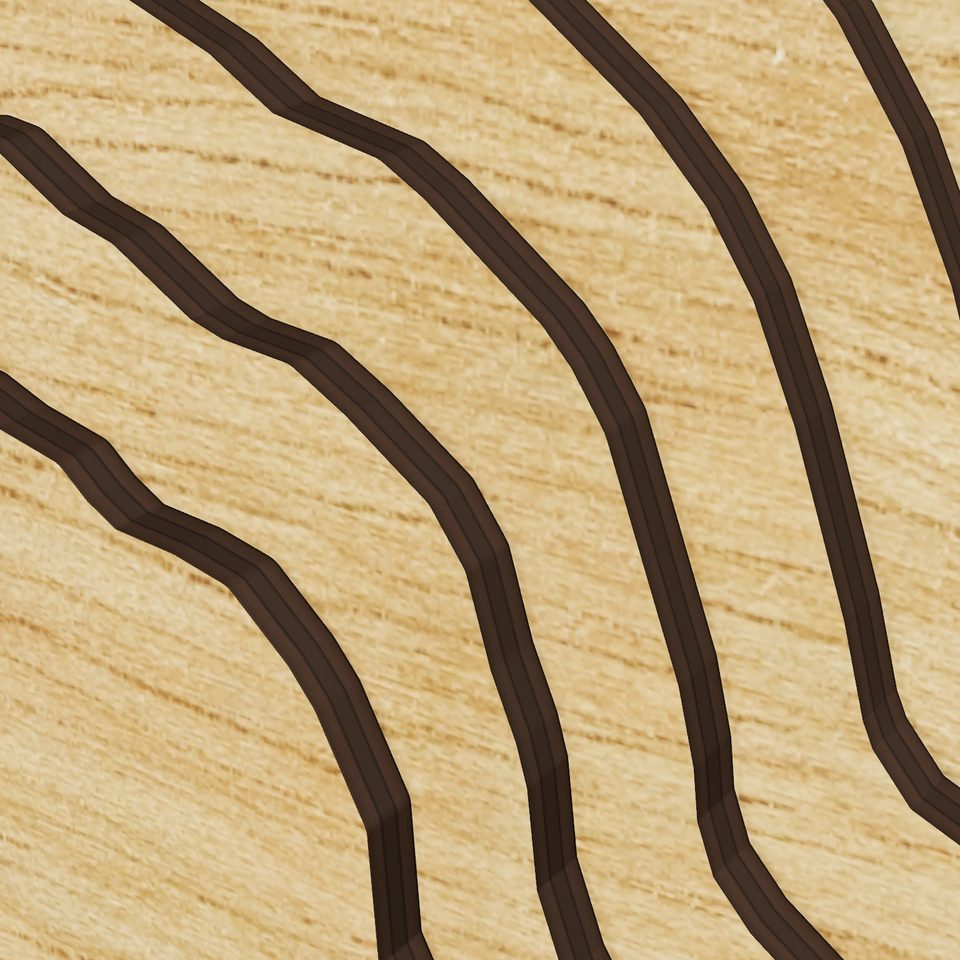 Lake Lawrence 3D wood map, detail view