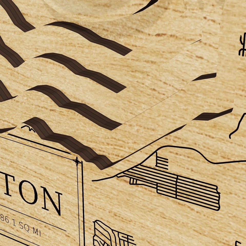 Lake Livingston 3D wood map, detail view