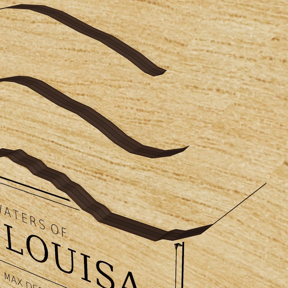 Lake Louisa 3D wood map, detail view