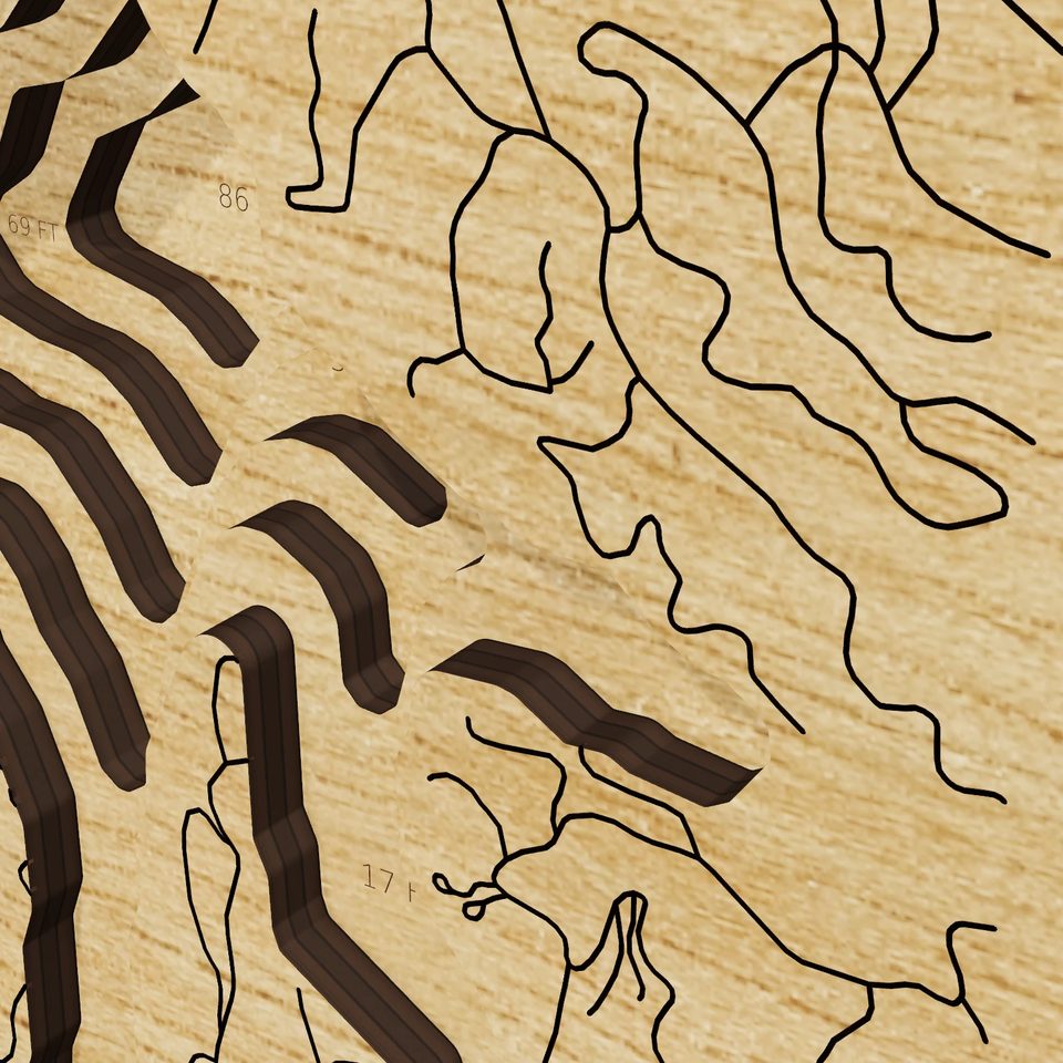 Lake Lure 3D wood map, detail view