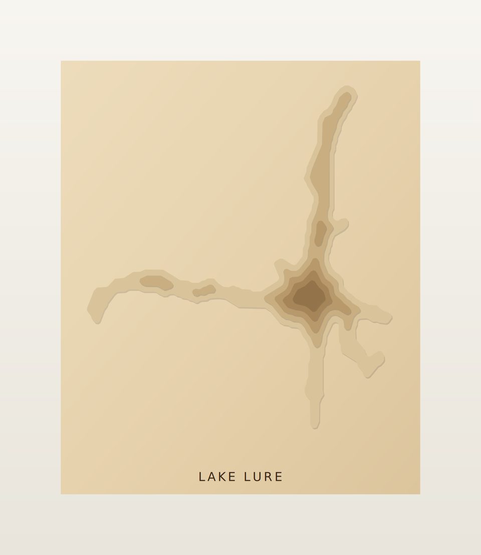 Lake Lure 3D wood map, preview view