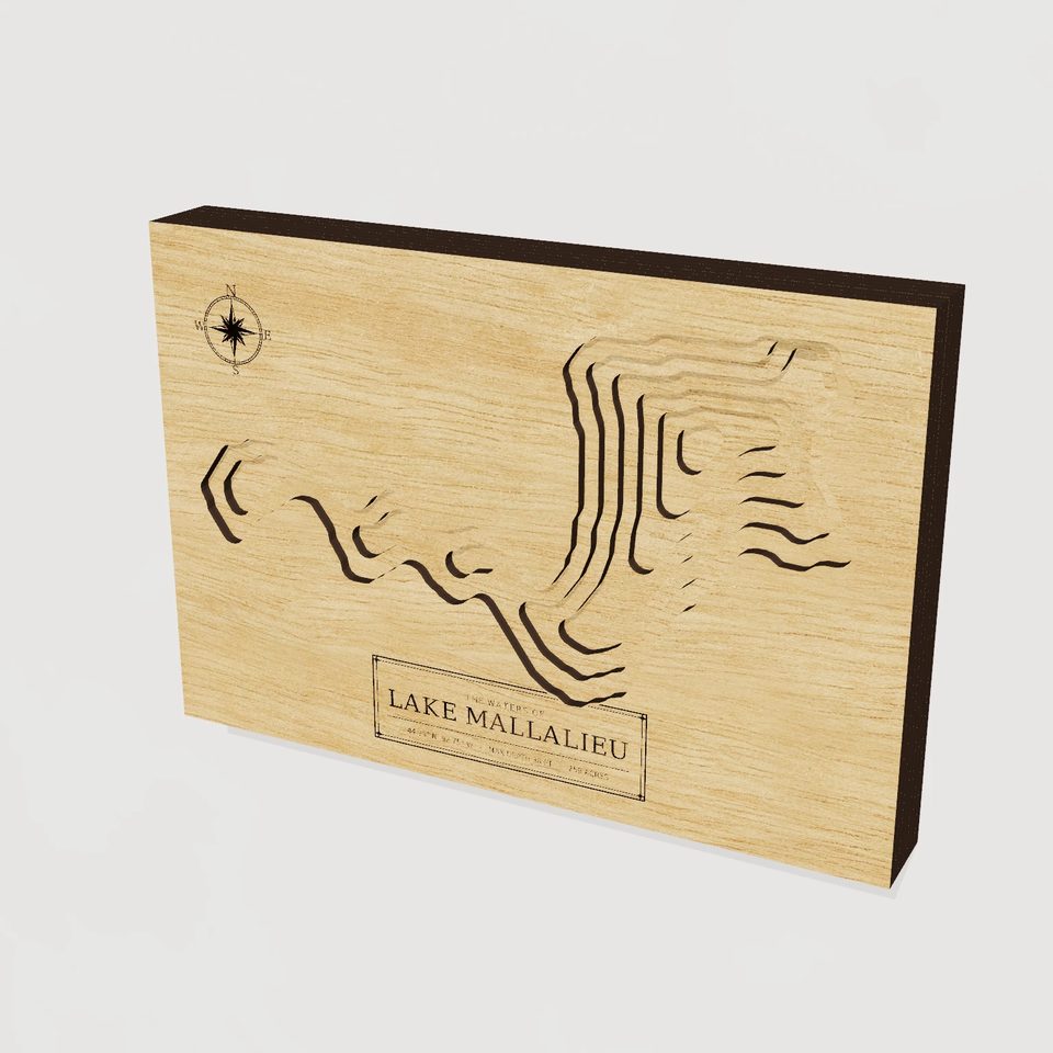 Lake Mallalieu 3D wood map, hero view