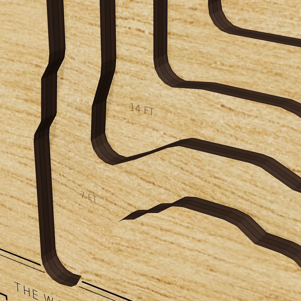 Lake Mangonia 3D wood map, detail view