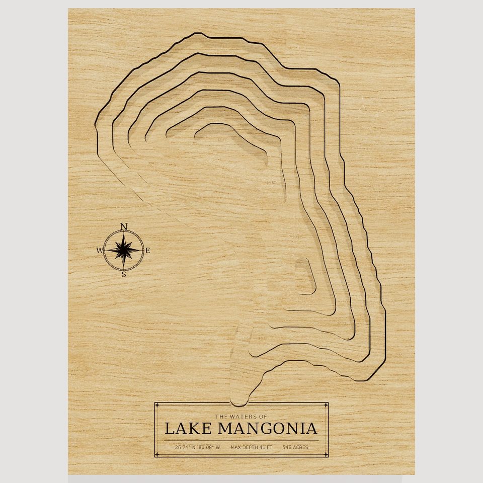 Lake Mangonia 3D wood map, front view
